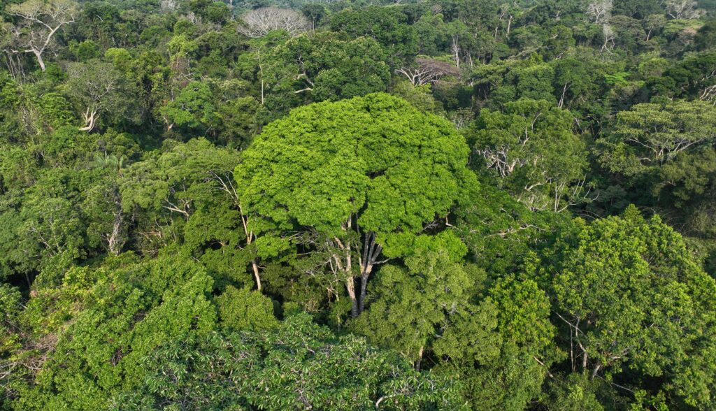 governador-gladson-cameli-apresenta-proposta-na-aleac-para-integrar-orcamento-publico-a-agenda-climatica